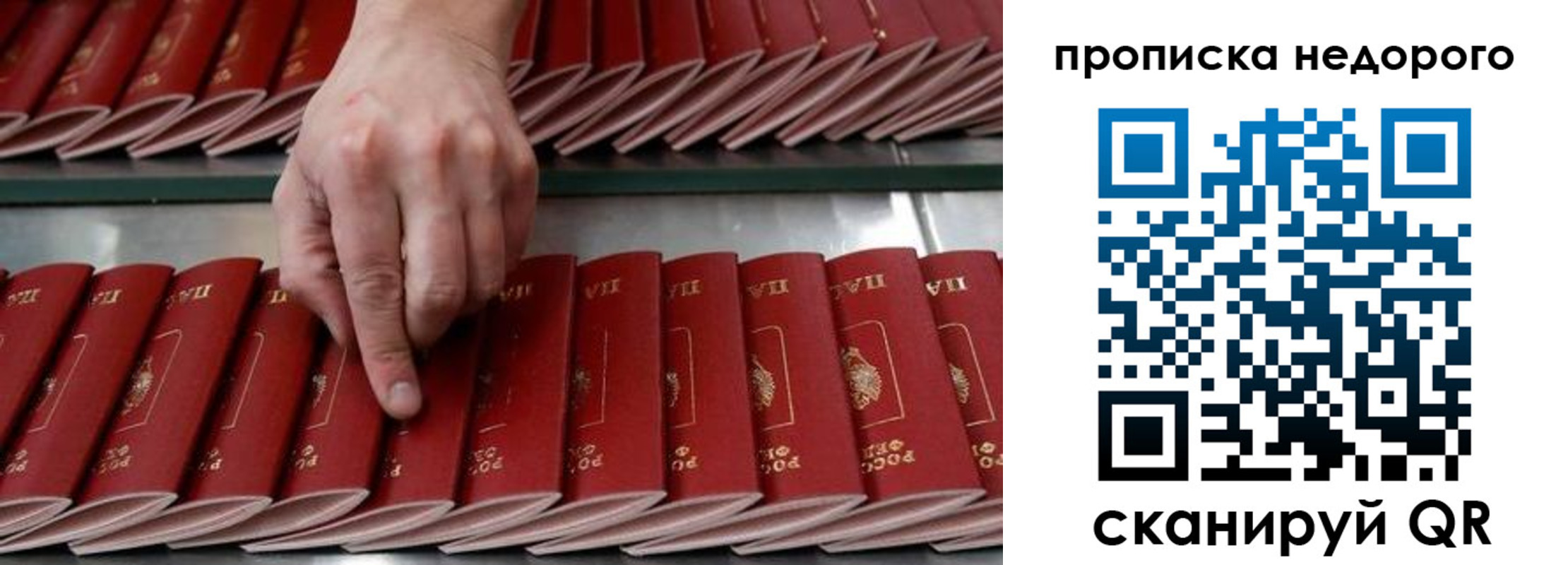 прописка регистрация в Ростове